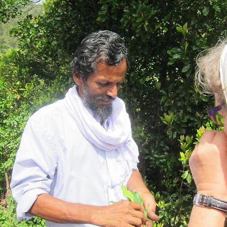 The Eco Hotel Varkala Eksteriør billede